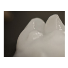 Cellulose Nano Fibrils(CNF)