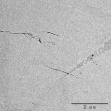 Celluouse Nano Fibers(CNF,Powder)