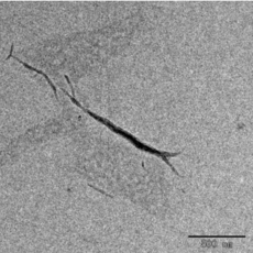 Celluouse Nano Fibers(CNF,Sol Type)